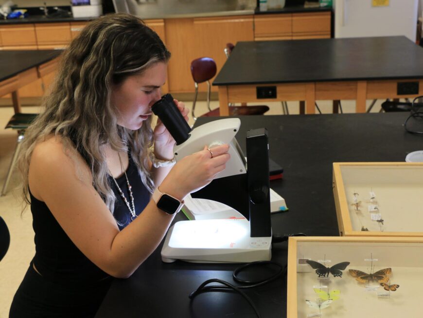 生物学和环境研究人员学生通过显微镜研究一个示例