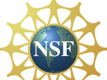 nsf标志