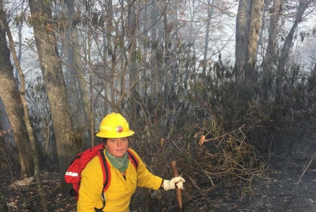 去年11月，小梅丽娜·洛萨诺在斯瓦纳诺亚的蜂树路救火。