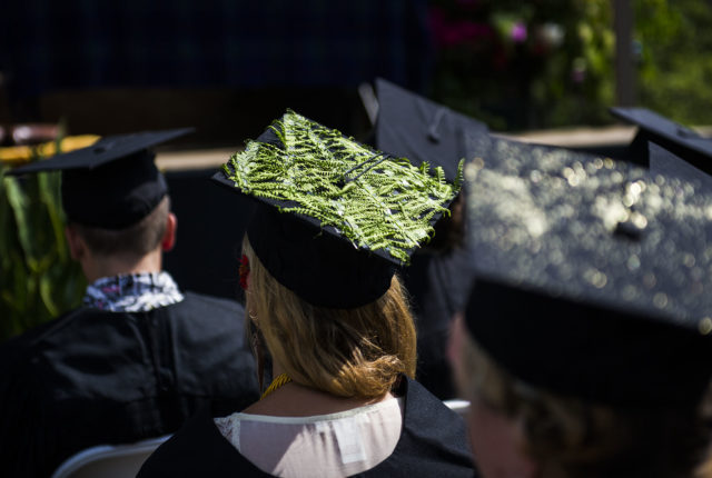 学位帽与蕨类植物