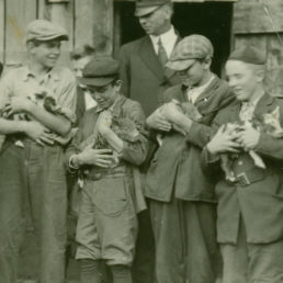 1908年阿什维尔的档案照片农场学校男孩