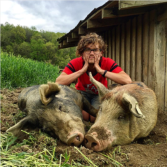 托姆和母猪